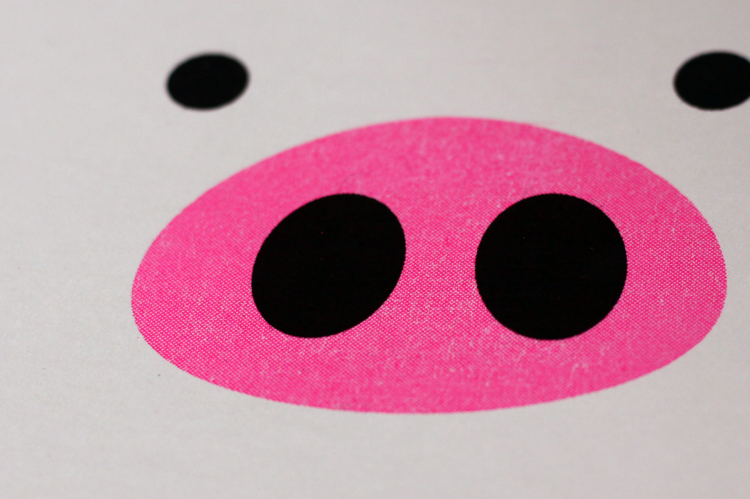 pink piggy 猪事顺利,青春永猪挂历-risograph限量版