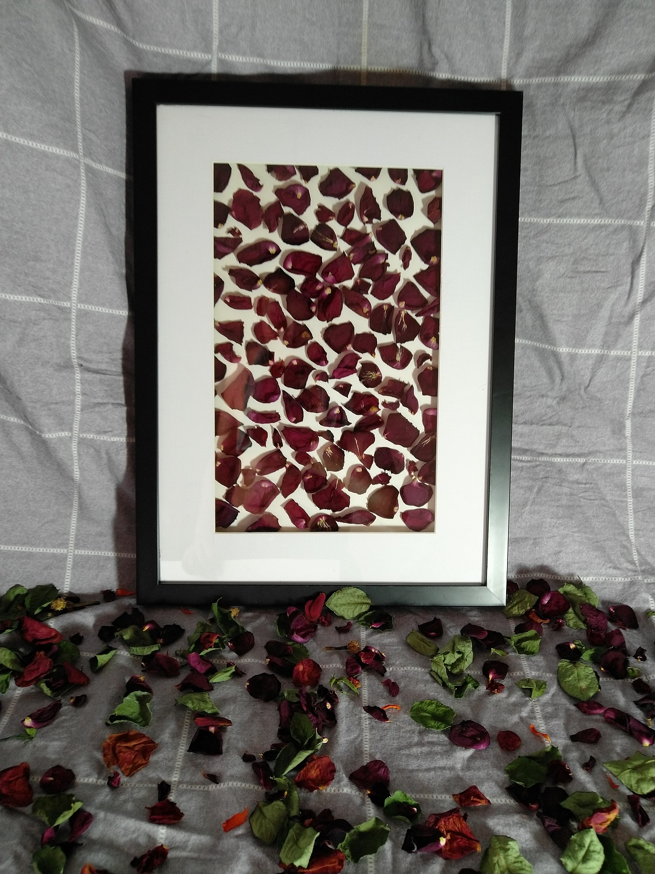 干花装饰画（图ZMTI0ODU4MTky） - 工艺品设计 - 站酷设计师g007995原创素材 - 站酷ZCOOL