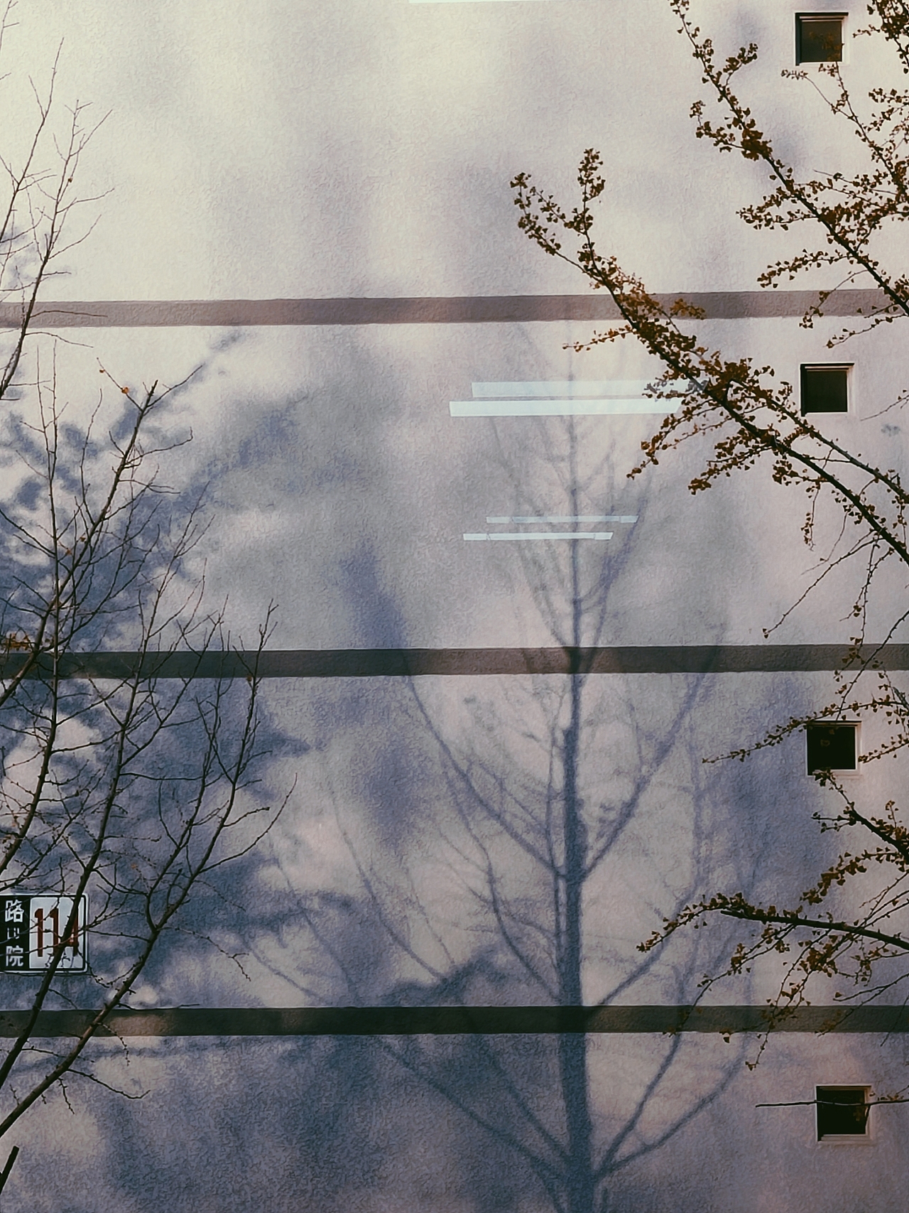 摄影 | 身边景（图ZMTkzMTUxNTk2） - 风光摄影 - 站酷设计师陆不止原创素材 - 站酷ZCOOL