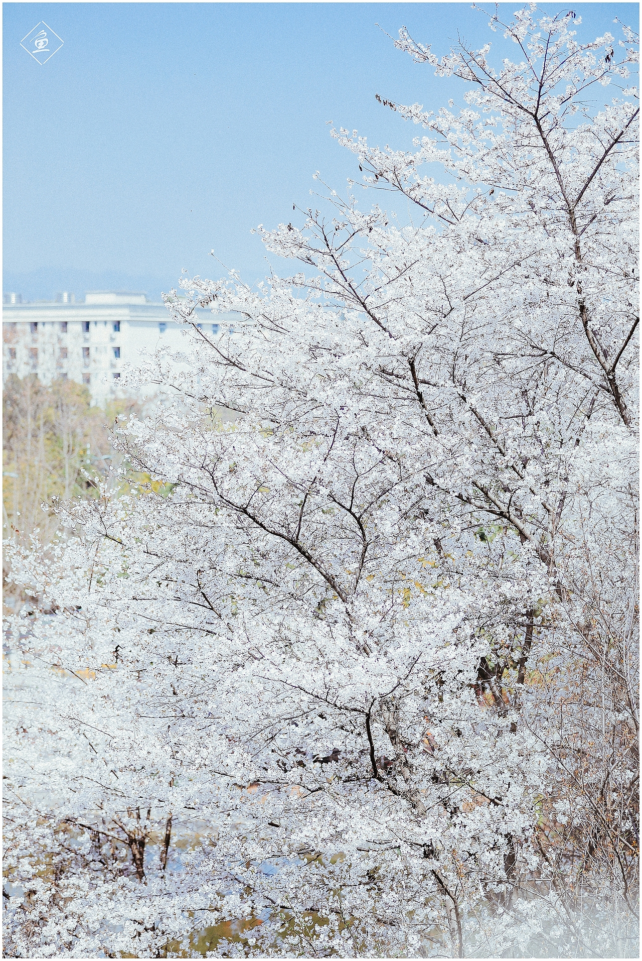 我拍宜昌（图ZMjMyNTMwMDgw） - 风光摄影 - 站酷设计师摄影师轩小鱼原创素材 - 站酷ZCOOL