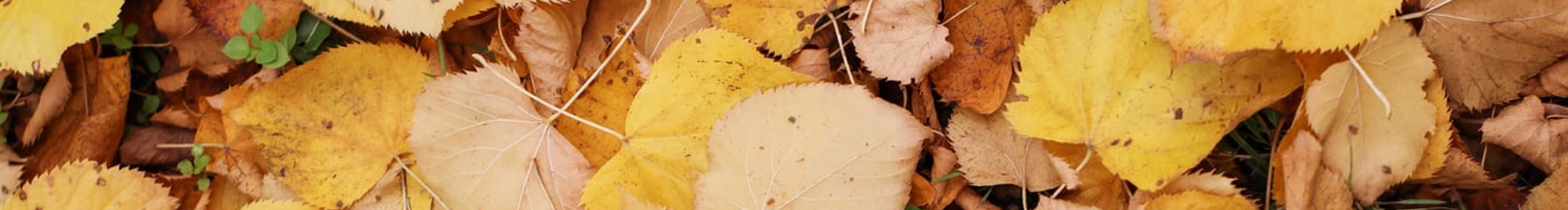 酸甜软糖的个人主页（封面预览） - 主页封面设置 - 站酷设计师酸甜软糖原创素材 - 站酷ZCOOL