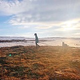 杨又又的头像