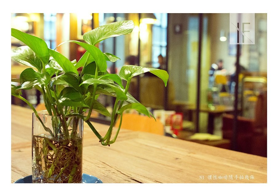 随拍 | 咖啡纸盒老乔表示:要被我玩坏了