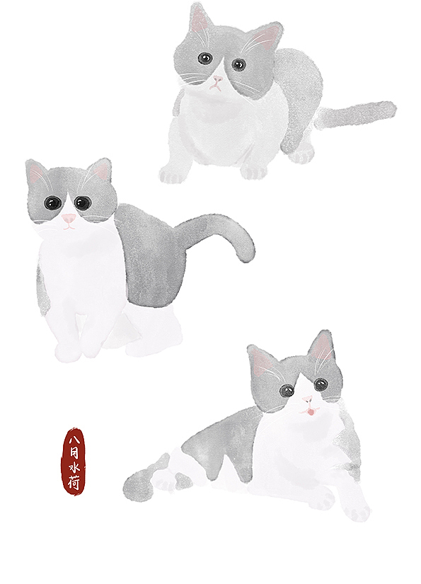 24只可爱到想咬一口的蓝白猫|插画|创作习作|八月水荷 - 原创作品