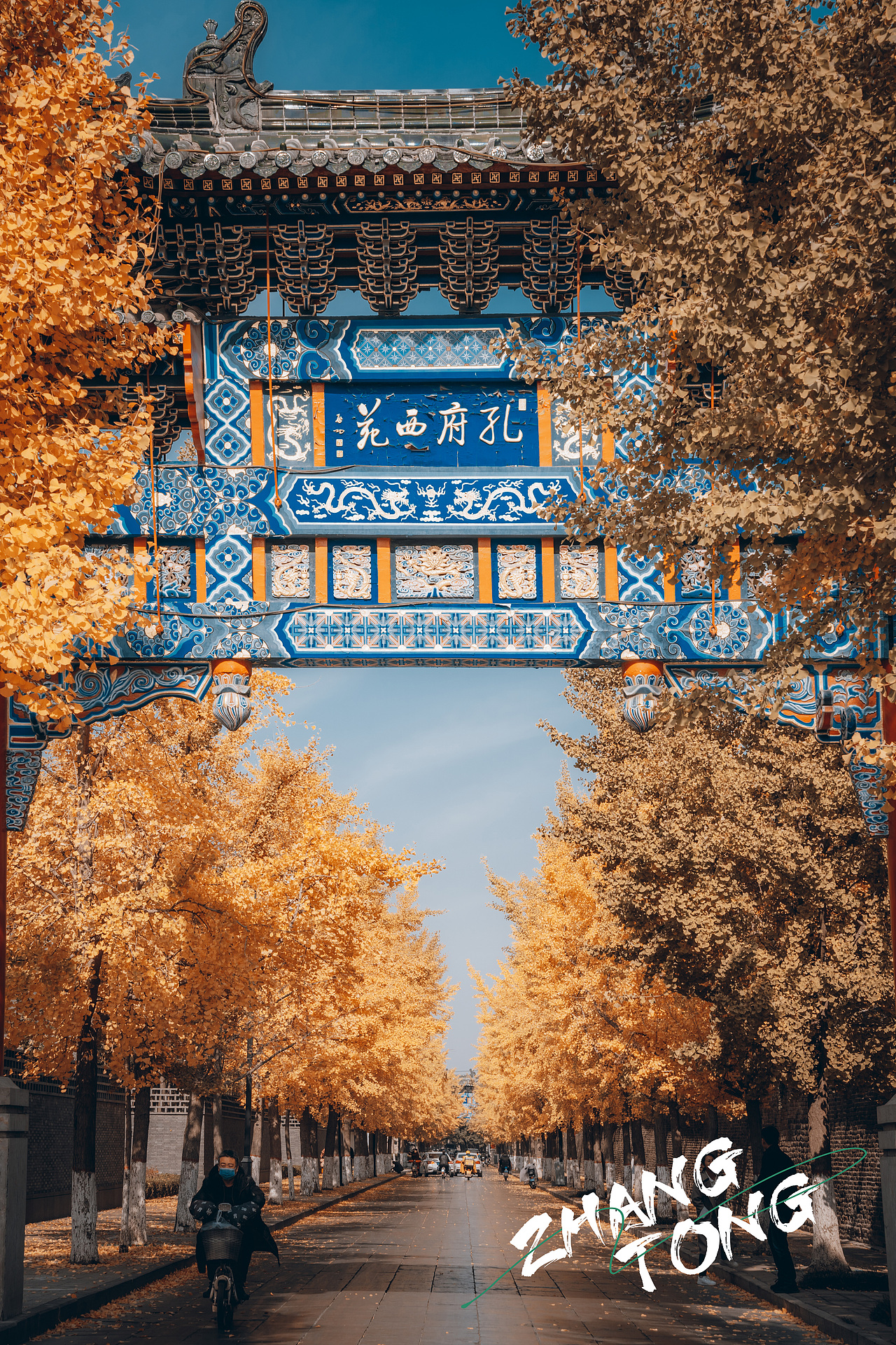 山东曲阜孔府西苑人文摄影秋意落叶风光美女秋天