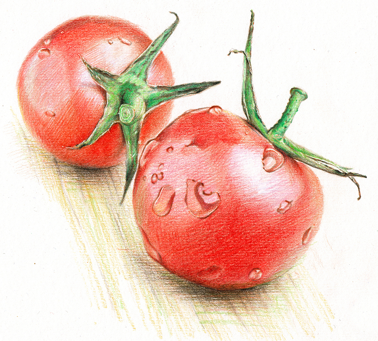 2012~2013彩铅画磨笔小品汇总