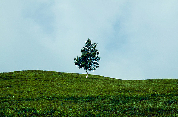 两年前在灵山的随拍（图ZNTU4NjUwNDQ=） - 风光摄影 - 站酷设计师琍囡原创素材 - 站酷ZCOOL