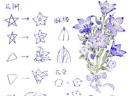 【procreate】植物教程