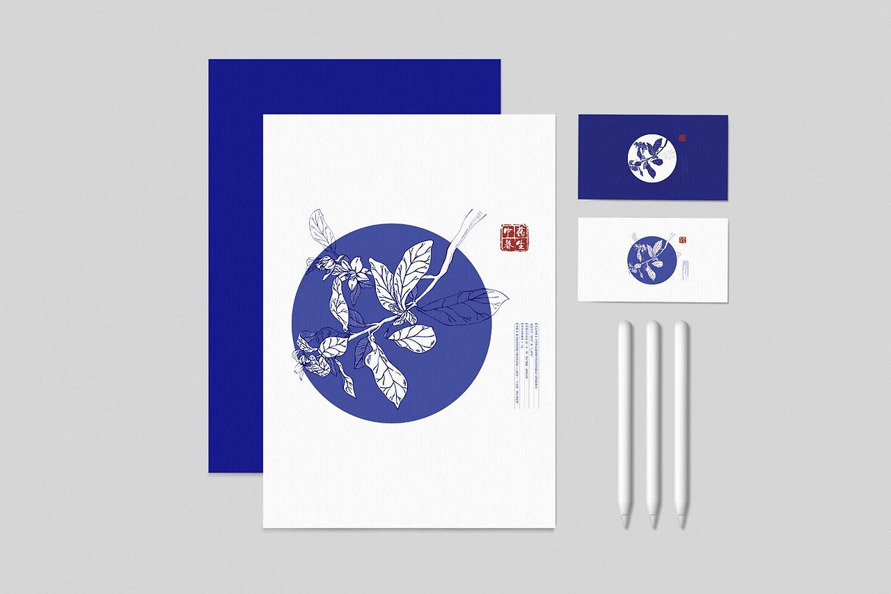 张仲景文创及包装设计