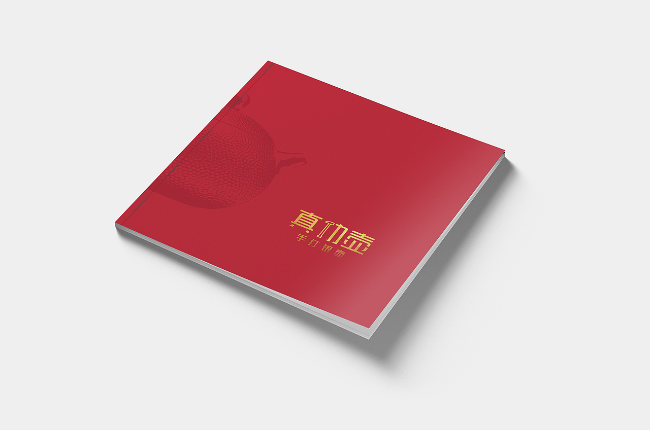 真功壶品牌画册（图ZMjc0NjUwNzY4） - 书籍/画册 - 站酷设计师首領_leader原创素材 - 站酷ZCOOL