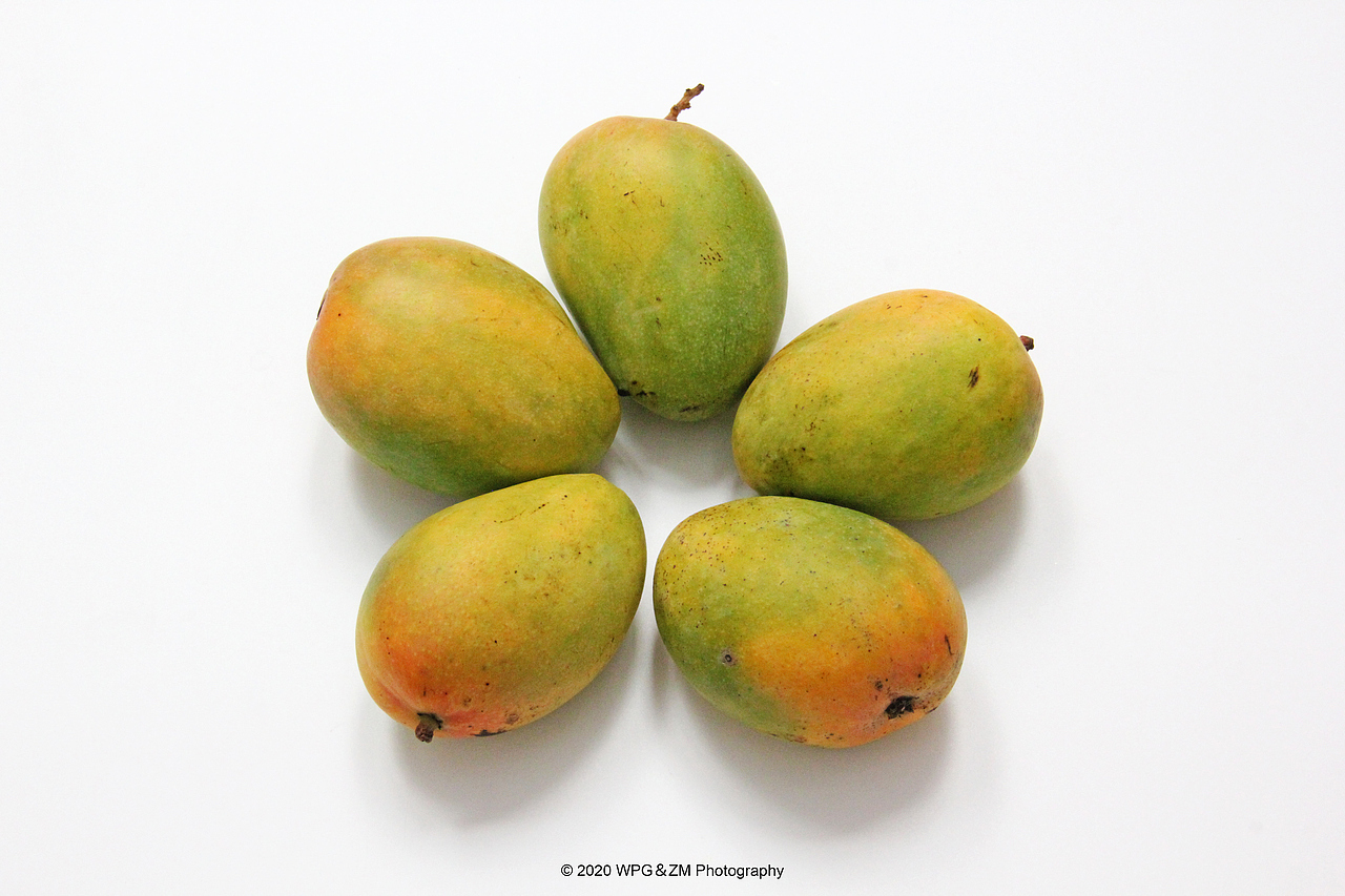 《 HELLO · JULY 》