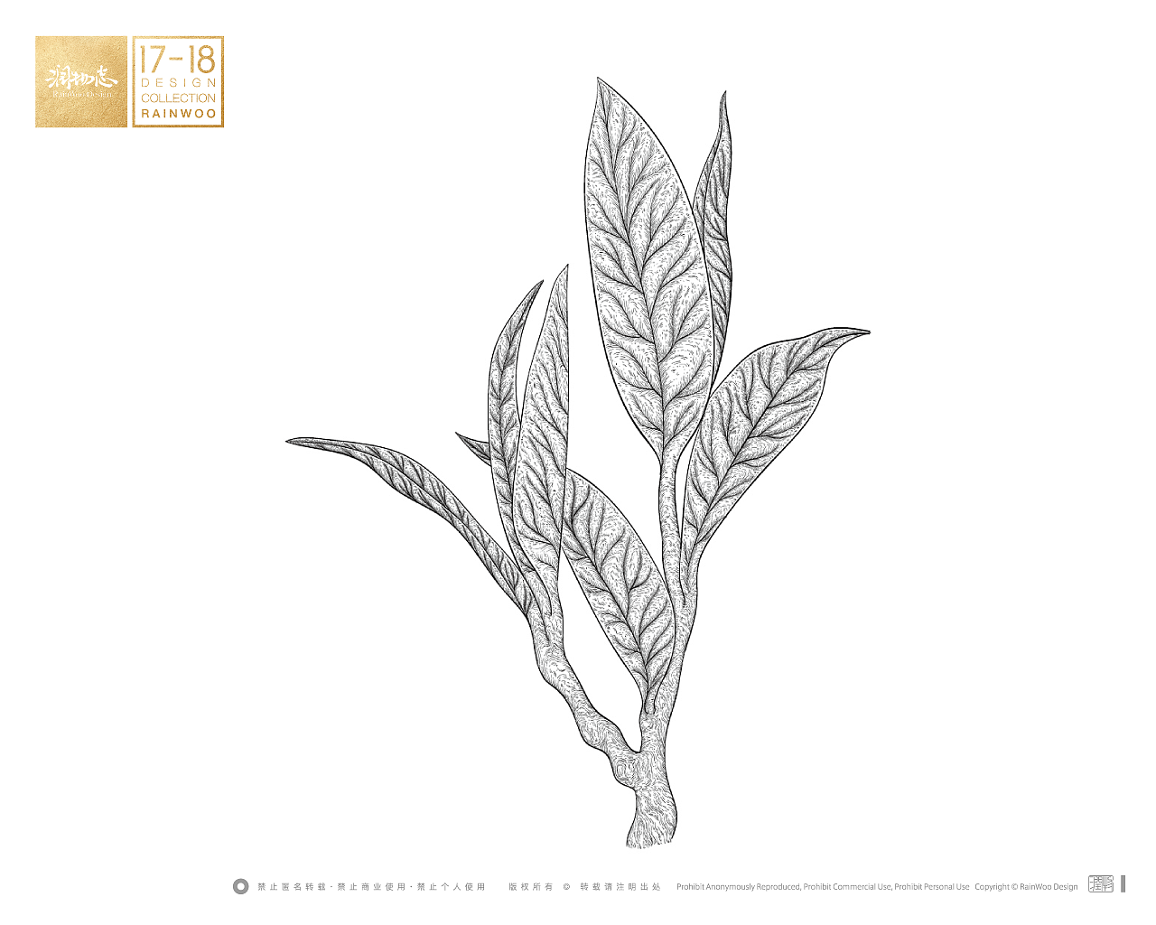 润物志2018部分插画第二季