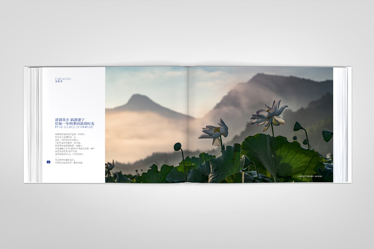 清新花香·福源建宁-精装画册-源艺设计