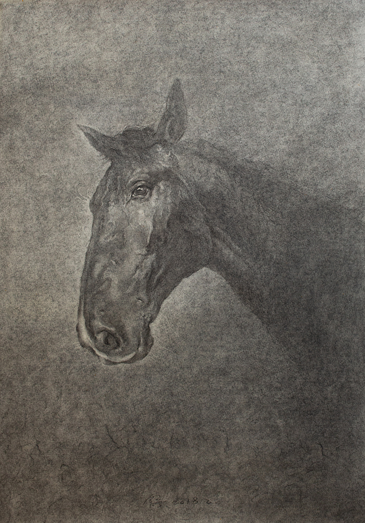 馬、素描——舒揚（圖ZMjMyNDE5MTcy） - 繪畫 - 站酷設(shè)計師糙吉流原創(chuàng)素材 - 站酷ZCOOL