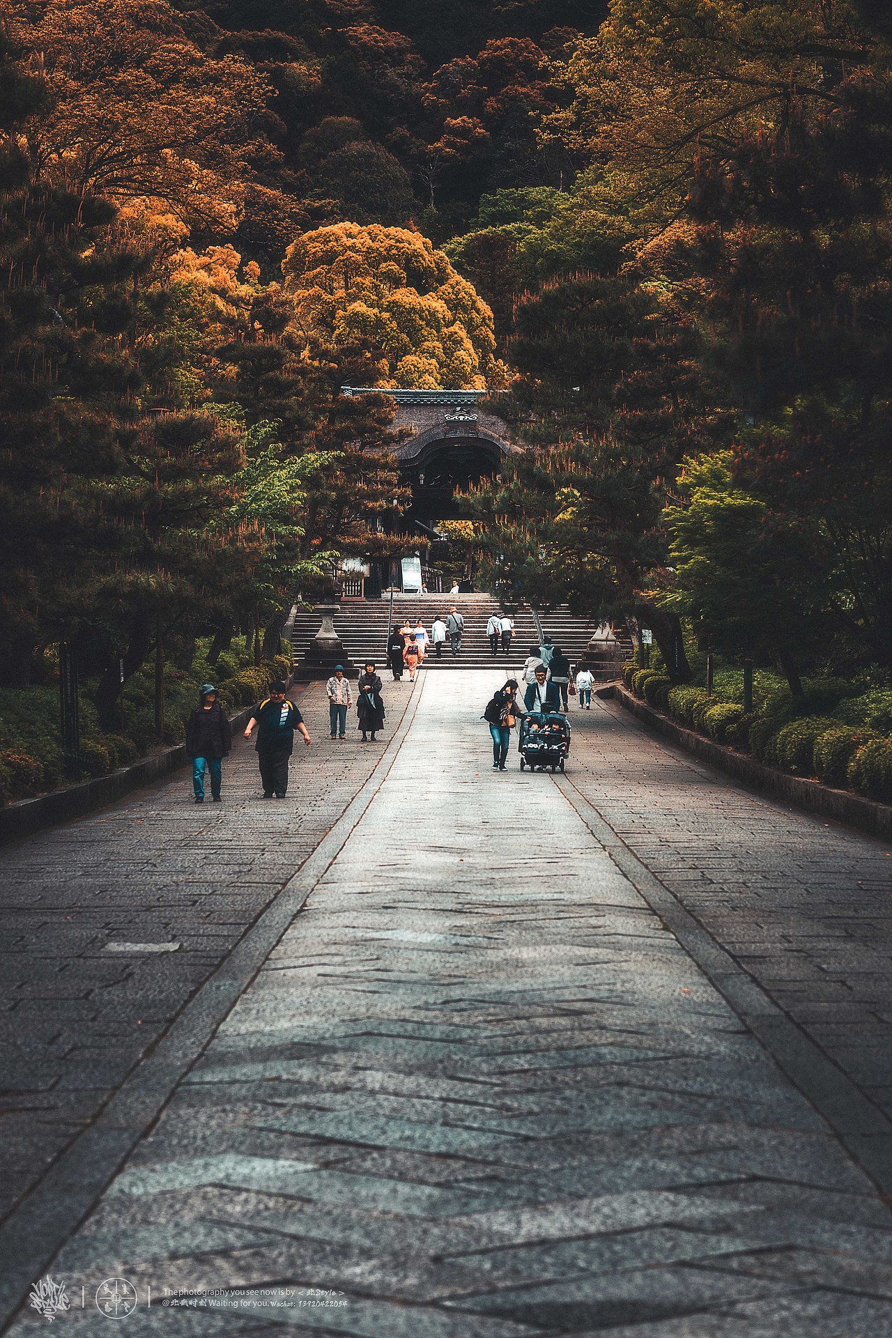 城市猎人/Looking for