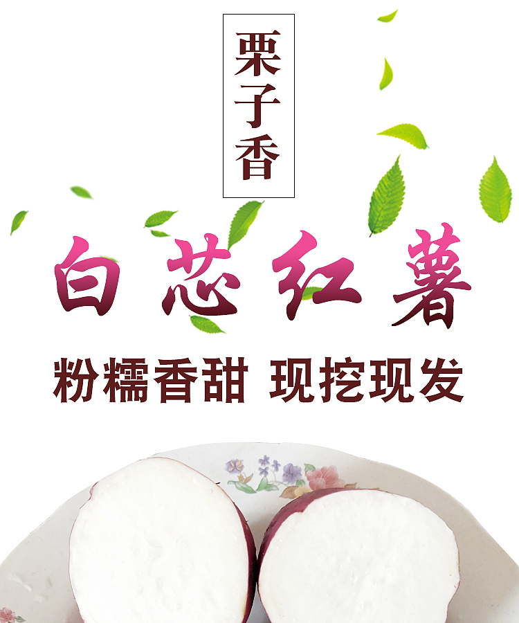 唐河红薯农产品拍照制作详情静物拍摄南阳淘邦详情案例