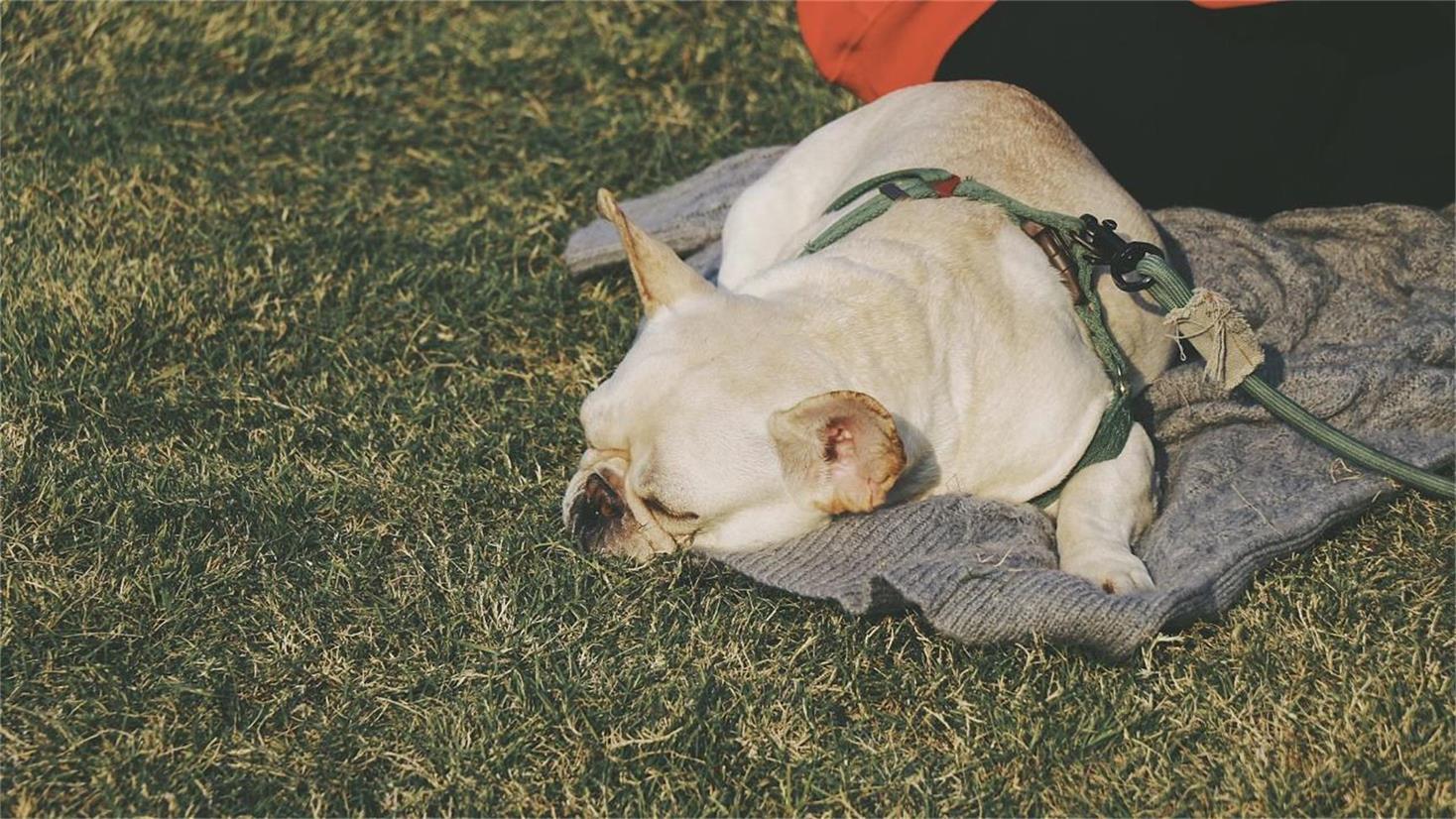 神偷啊的個(gè)人主頁(yè)（封面預(yù)覽） - 主頁(yè)封面設(shè)置 - 站酷設(shè)計(jì)師神偷啊原創(chuàng)素材 - 站酷ZCOOL