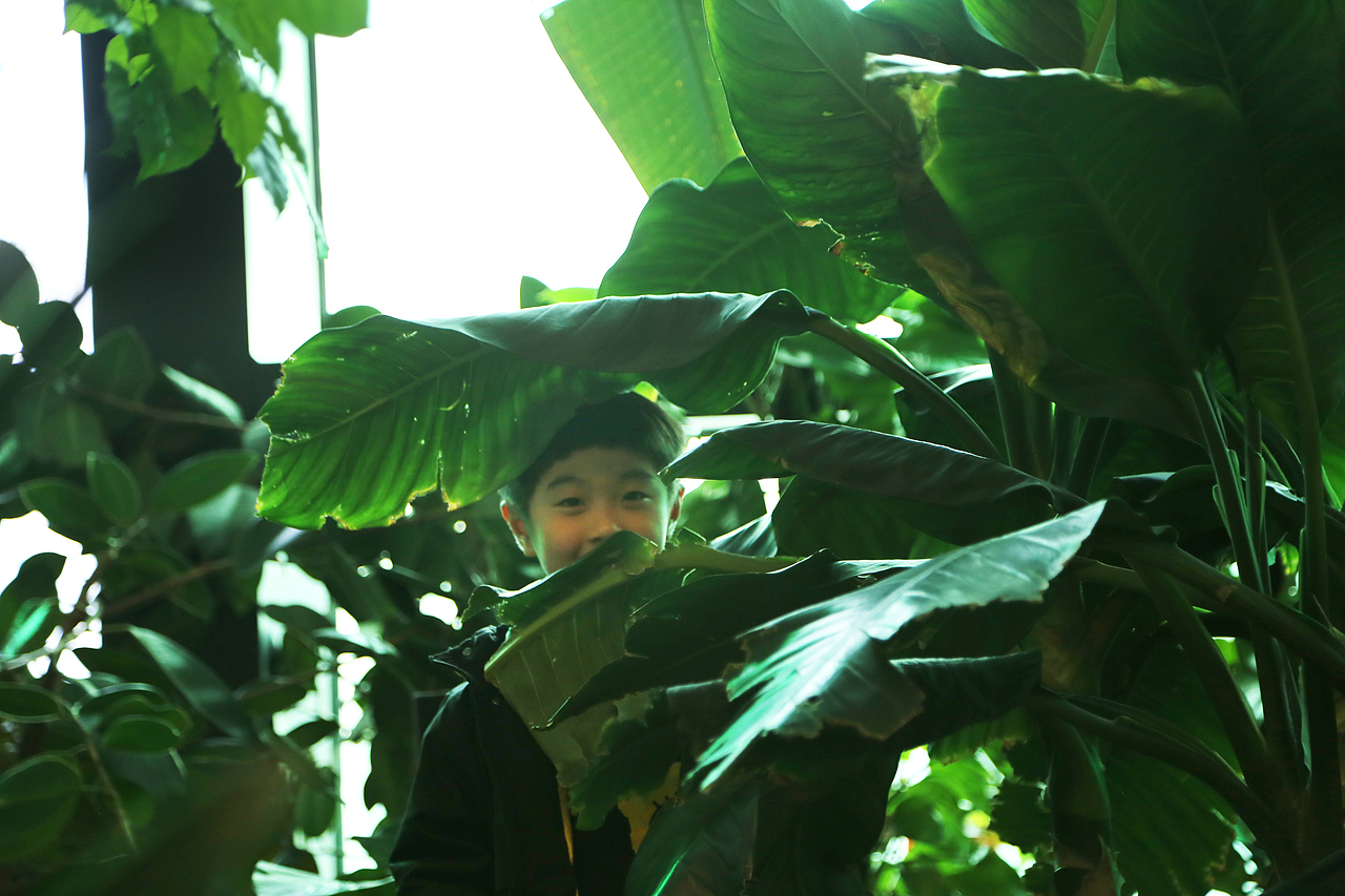 这些年走过的地方（图ZMzYyNDQ2NTA0） - 其他摄影 - 站酷设计师Shirley_1205原创素材 - 站酷ZCOOL