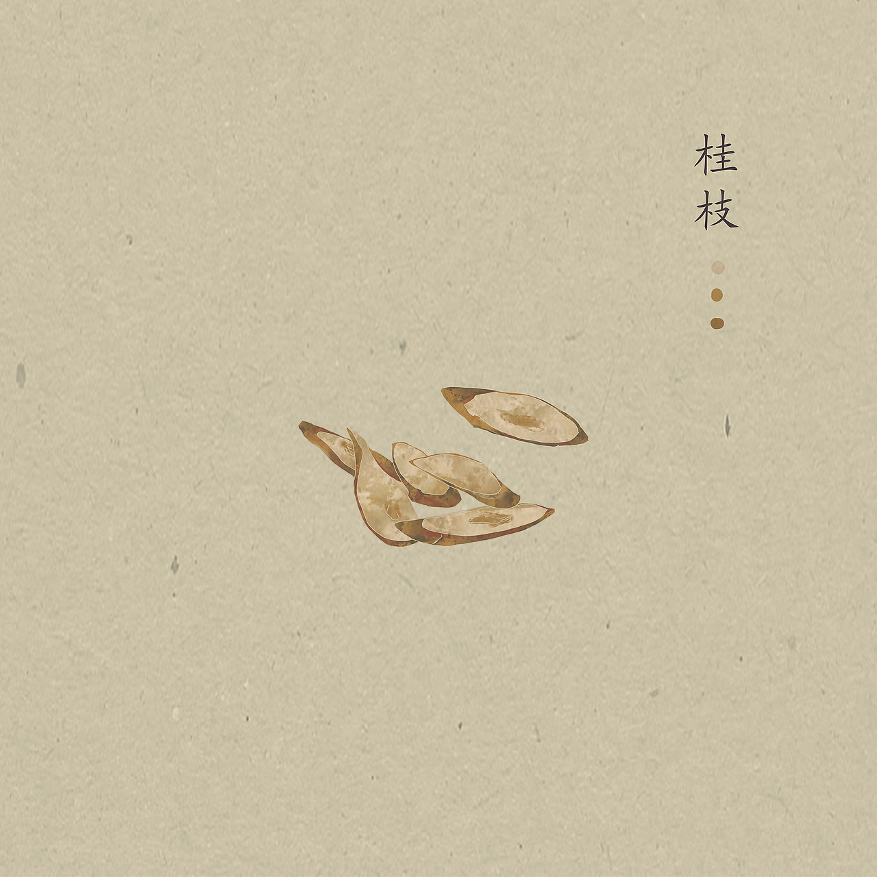 甘的,涩的,它们的气味与纹路