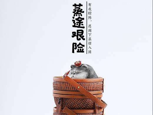 魂作猫团子---宿命