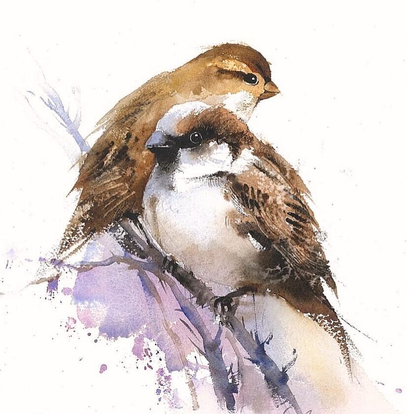 夏宇航水彩画《麻雀》