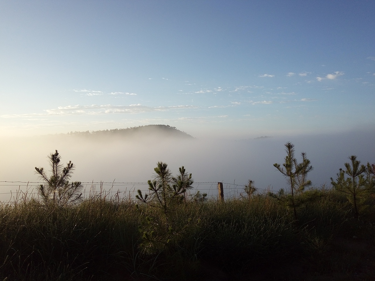 清晨的校园周围!