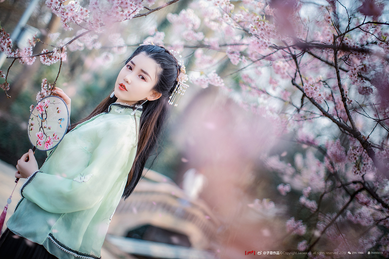 《樱花落，纷如雪》（图ZMTUyMzcyOTMy） - 人像摄影 - 站酷设计师摄影师子意原创素材 - 站酷ZCOOL