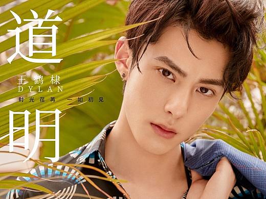 《流星花园》单人海报