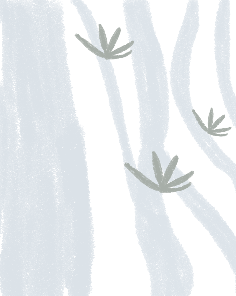 咸梨子的个人主页（封面预览） - 主页封面设置 - 站酷设计师咸梨子原创素材 - 站酷ZCOOL