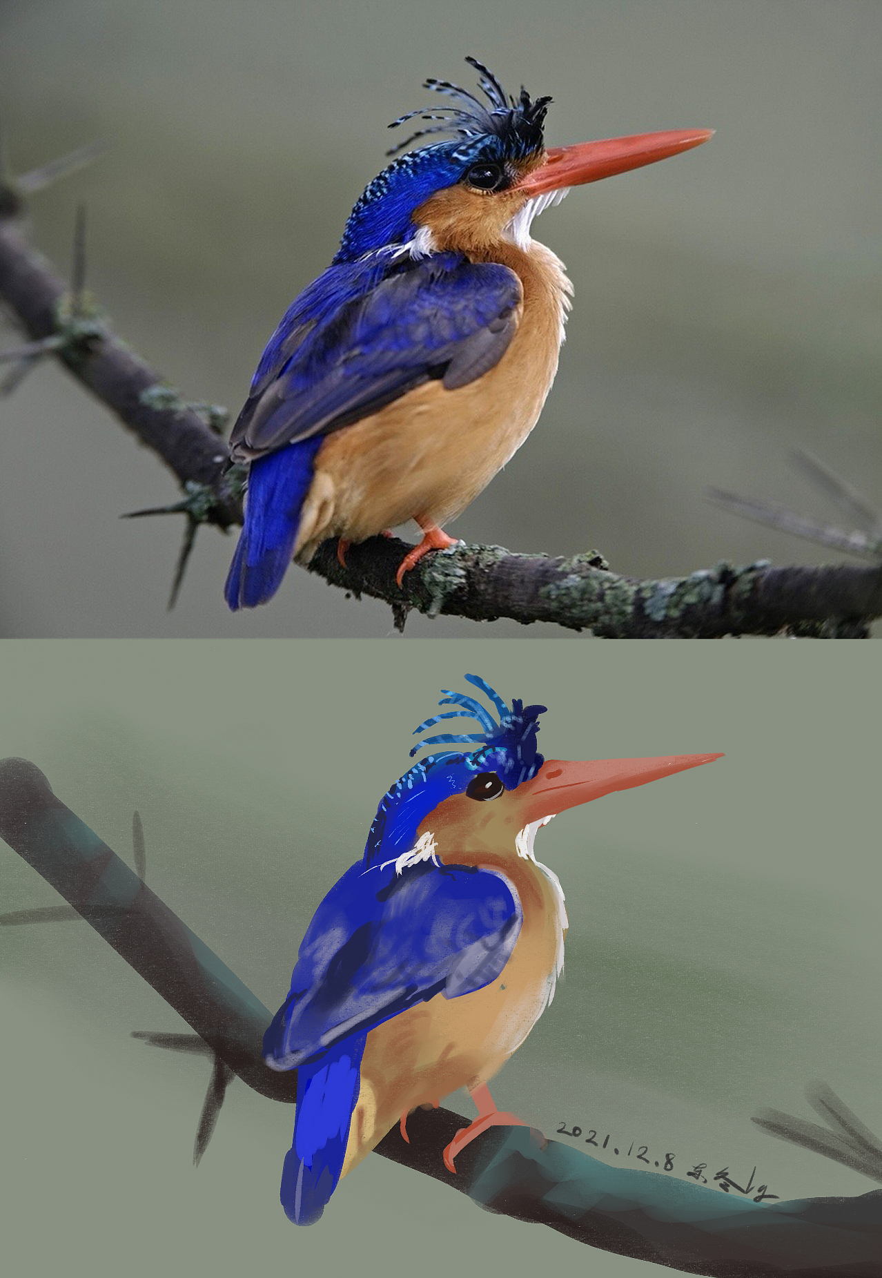 近两年板绘练习总结（野生插画师）