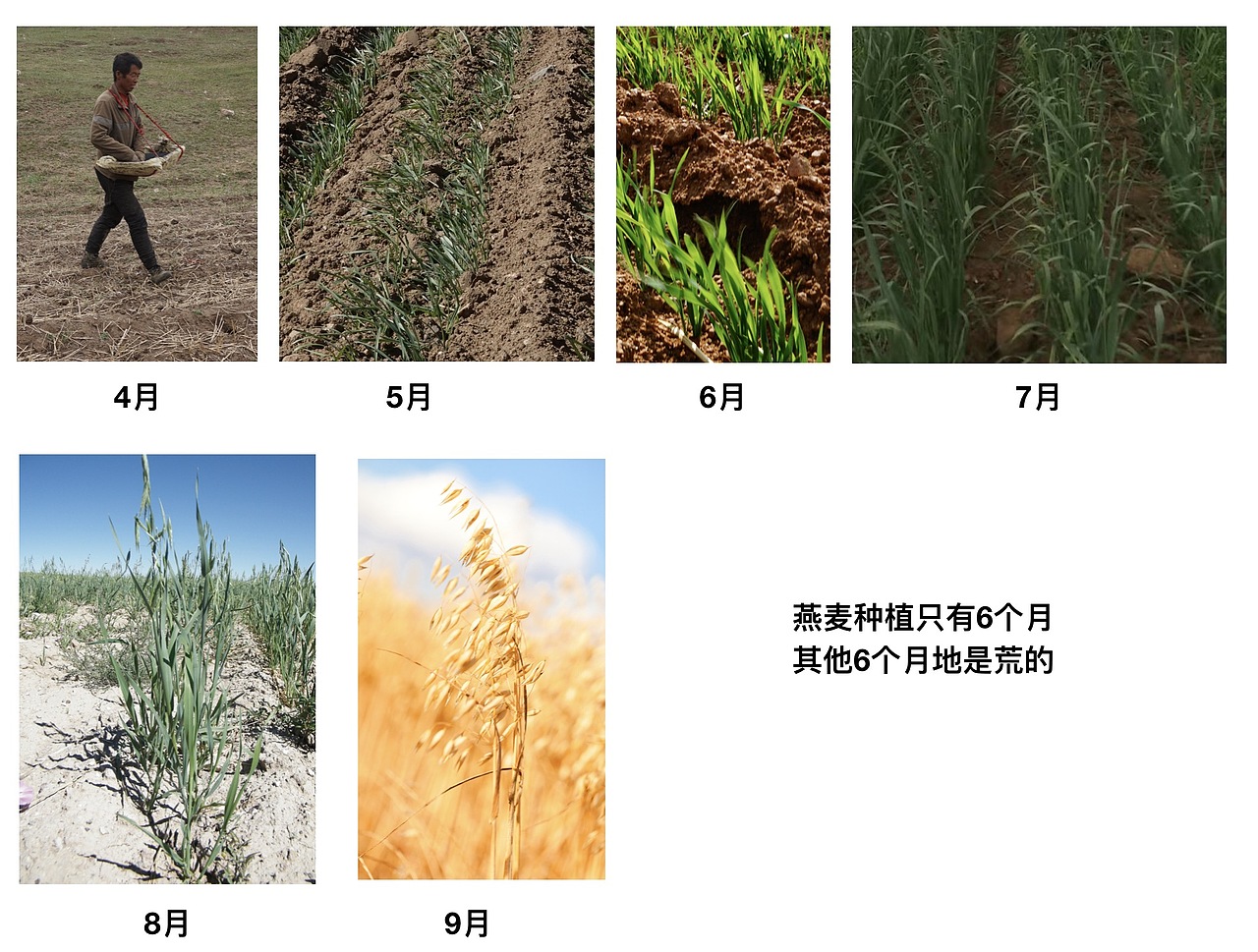 2022虎年日历（图ZMjg3MTA3MDMy） - 品牌 - 站酷设计师卯卯设计原创素材 - 站酷ZCOOL