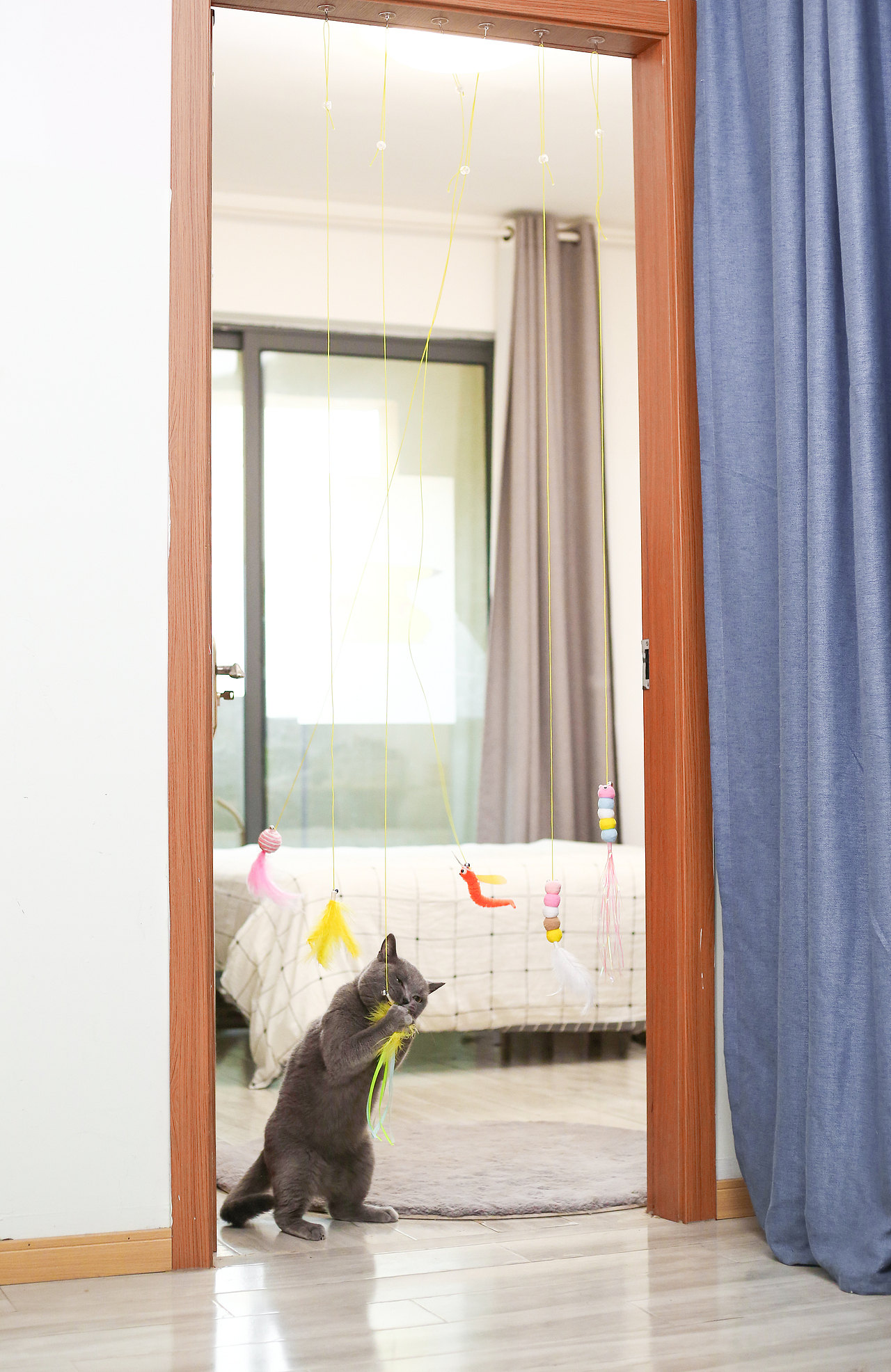 猫咪逗猫棒宠物产品亚马逊拍摄视频主图制作设计静物拍