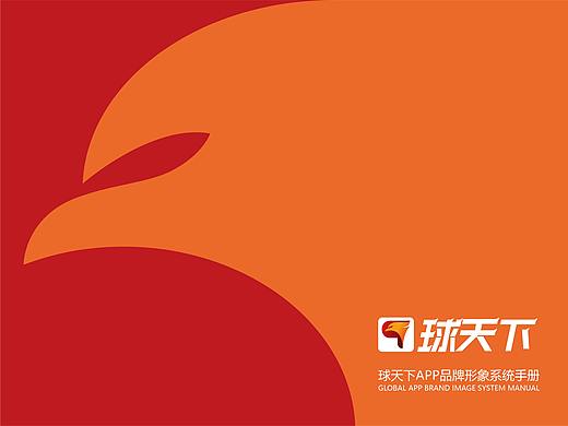球天下·体育品牌——VIS系统形象手册设计