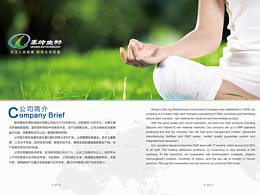 企业宣传册