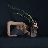 鹿林营造的头像