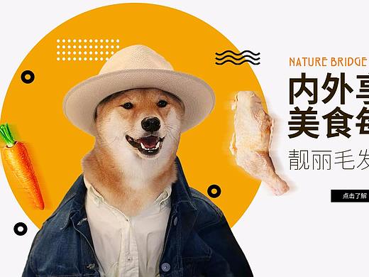 宠粮海报