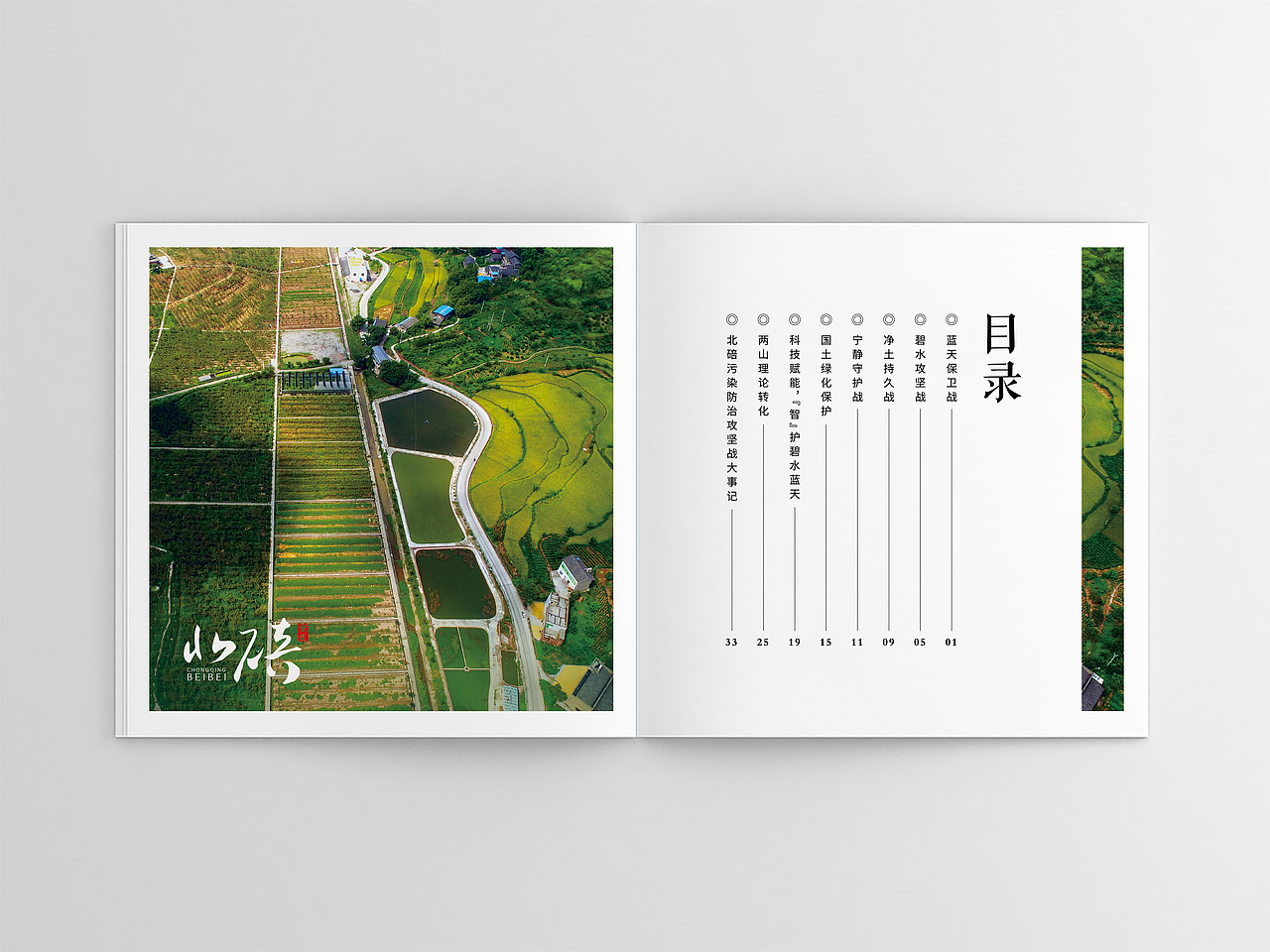 政府画册｜北碚2018-2020年（图ZMjYwNTEwNjEy） - 书籍/画册 - 站酷设计师叶律原创素材 - 站酷ZCOOL