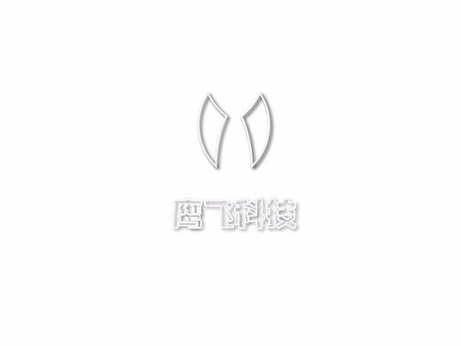鹰飞科技logo（个人主页-ZMjYwNTY5MzY=） - Logo - 站酷设计师阔腿裤逆时空原创素材 - 站酷ZCOOL