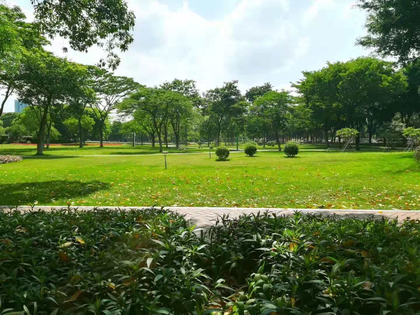 王术的个人主页（封面预览） - 主页封面设置 - 站酷设计师王术原创素材 - 站酷ZCOOL