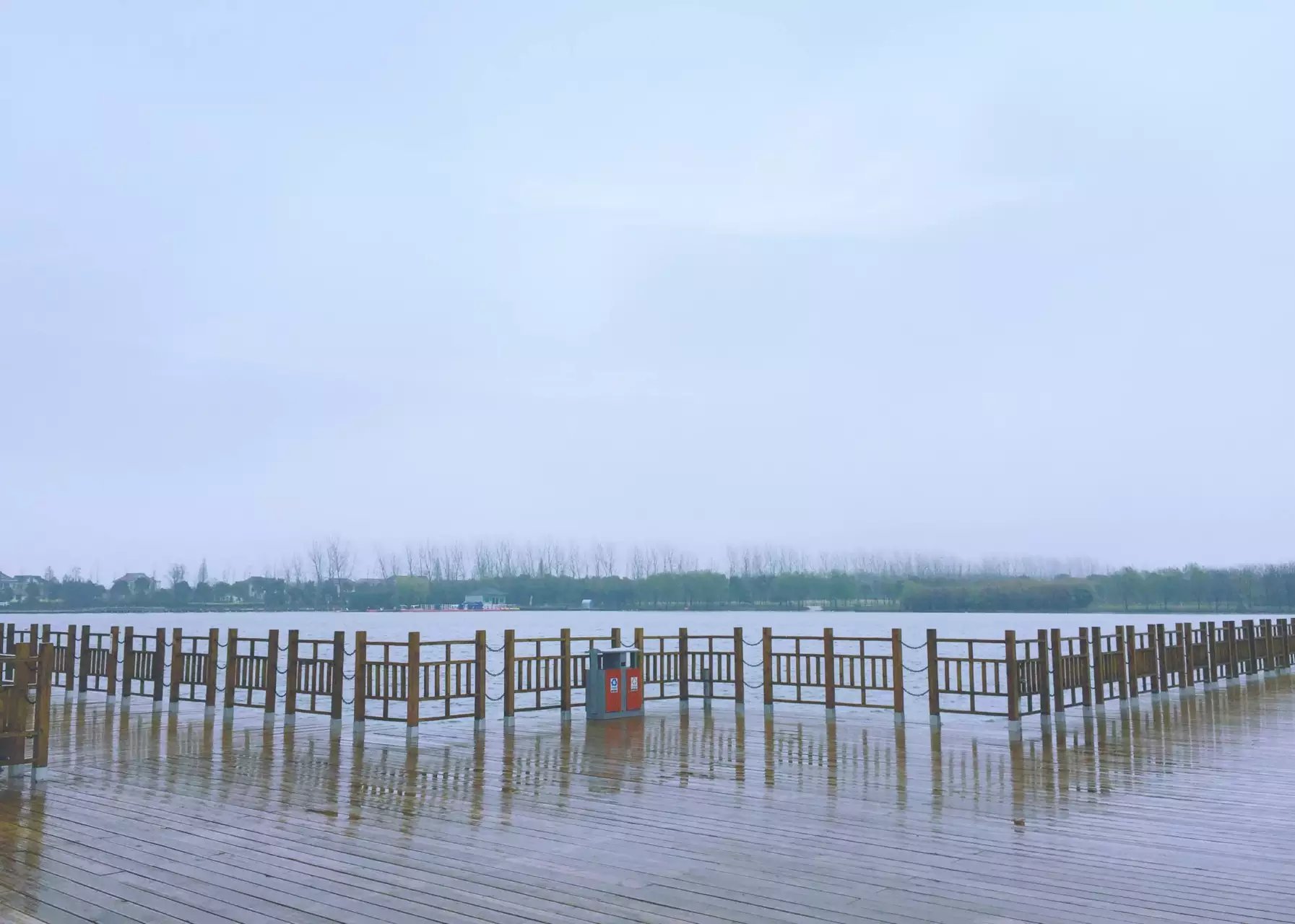 雨中漫步/上海崇明岛明珠湖/西沙湿地 公园_程阅川-站酷ZCOOL