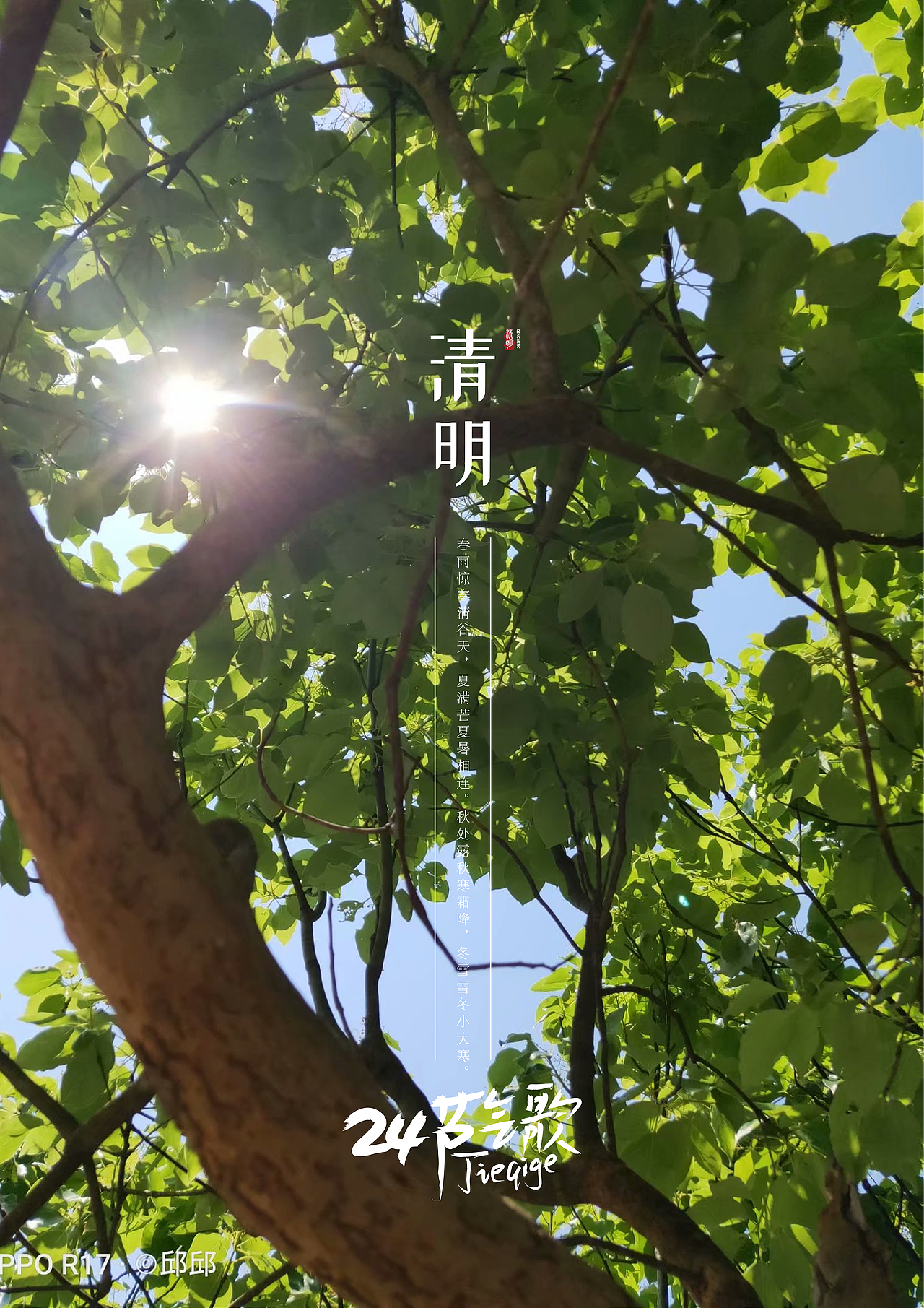 24节气之镜头下（图ZMjYzNTM2MzQw） - 人文/纪实摄影 - 站酷设计师杞子呆呆原创素材 - 站酷ZCOOL