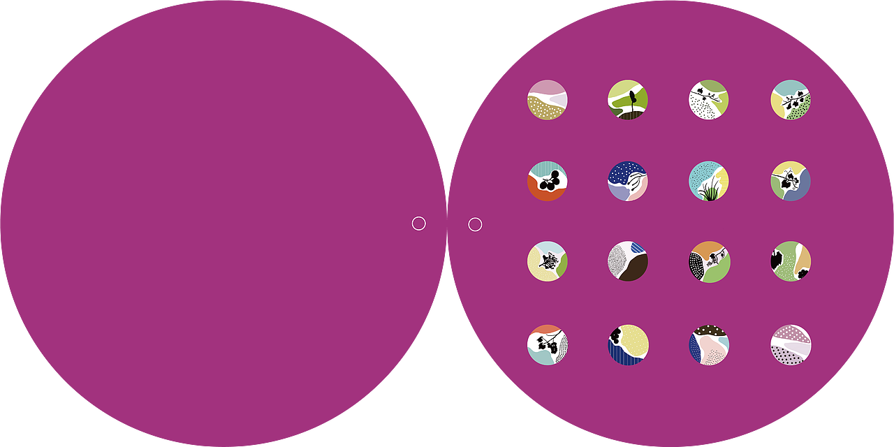 书籍插画设计-葡萄很甜