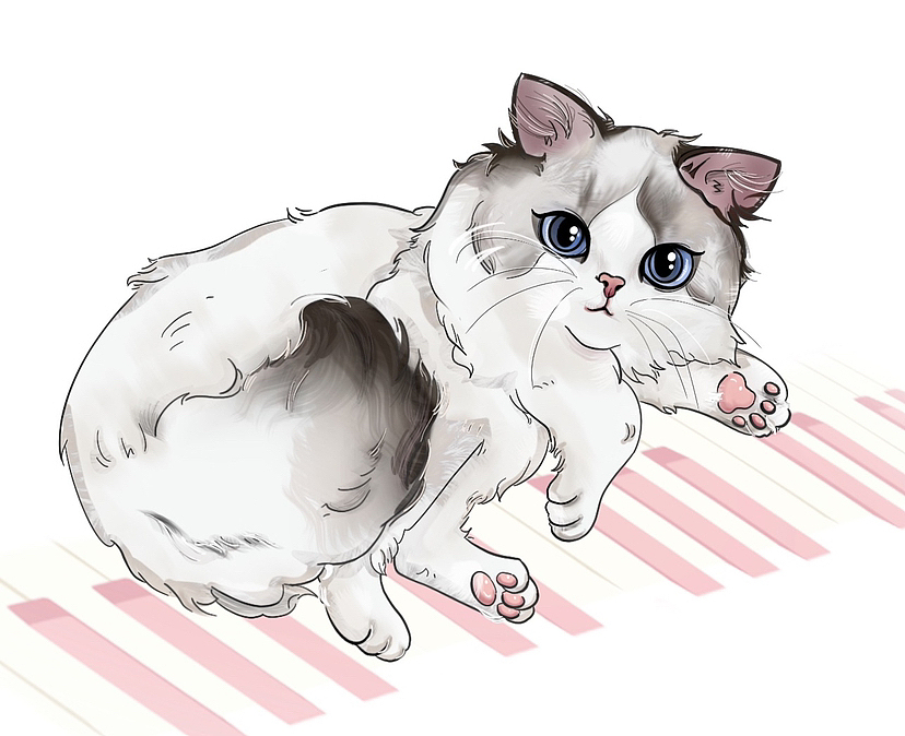 布偶猫插画定制