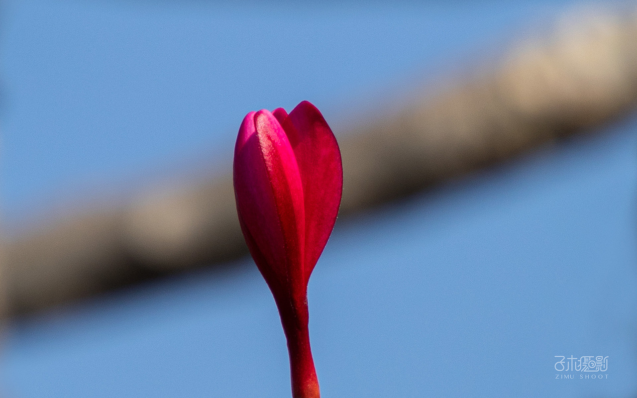 20191214青青世界