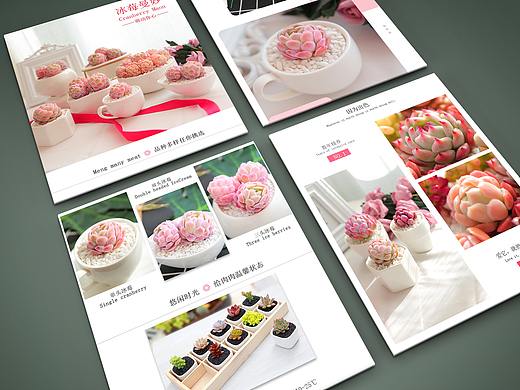 多肉淘宝详情页2