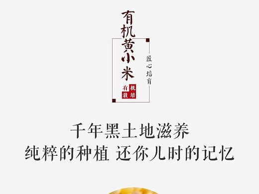 杂粮详情页 小米详情页 粗粮详情页