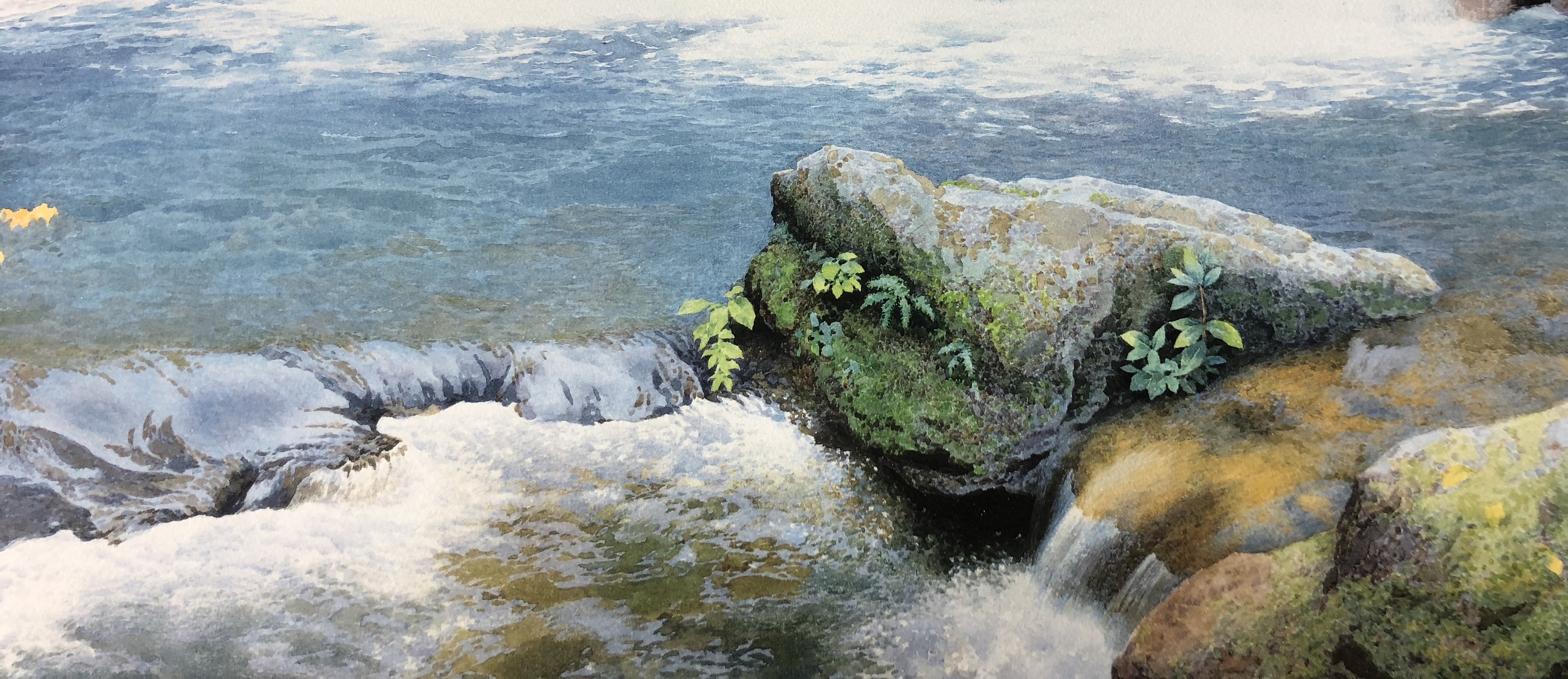 秋天的童话|纯艺术|绘画|黄有维水彩 - 原创作品 - 站酷 (zcool)