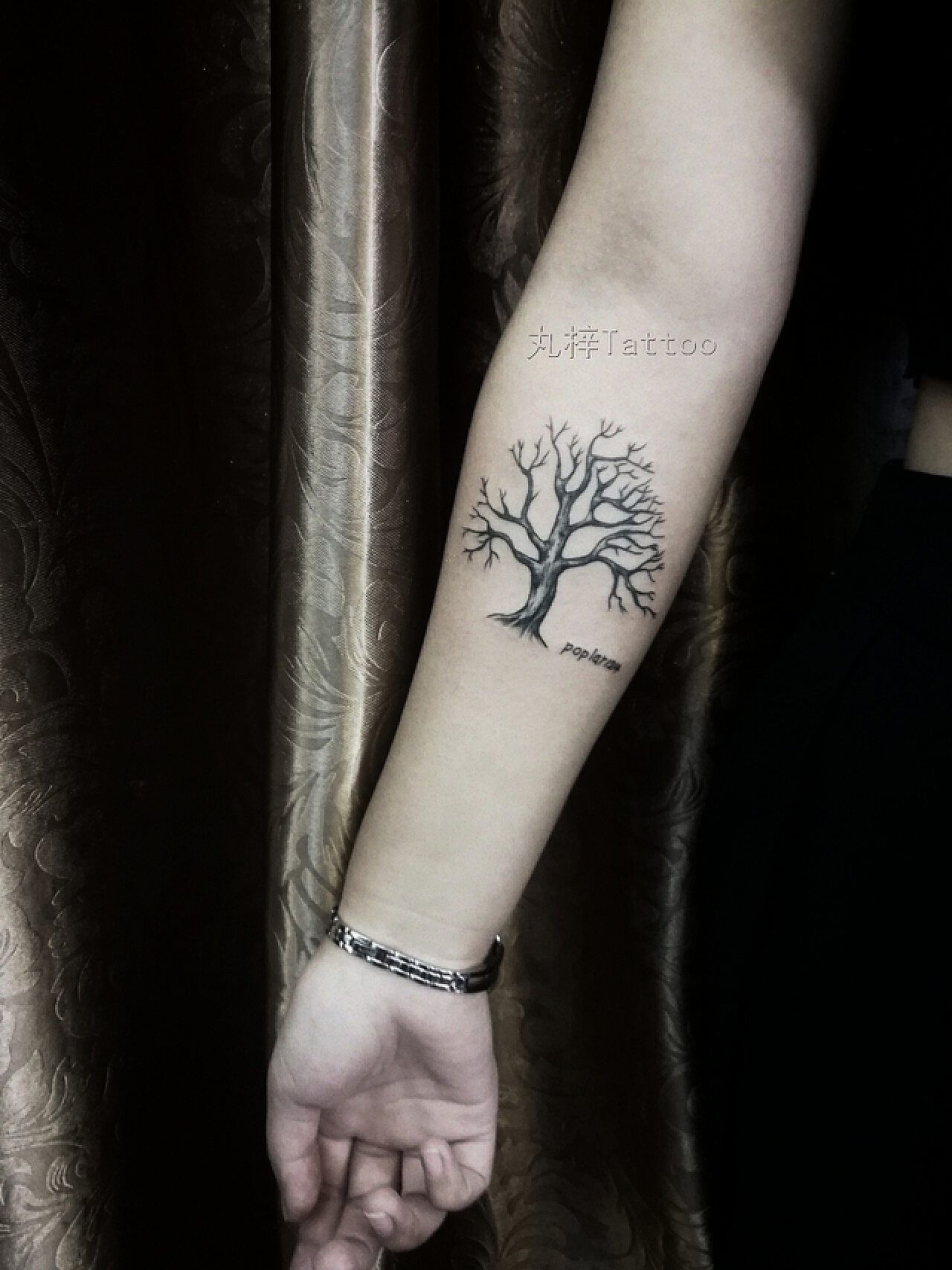 30 多个最佳生命之树纹身设计理念（及其含义）TatTatoos