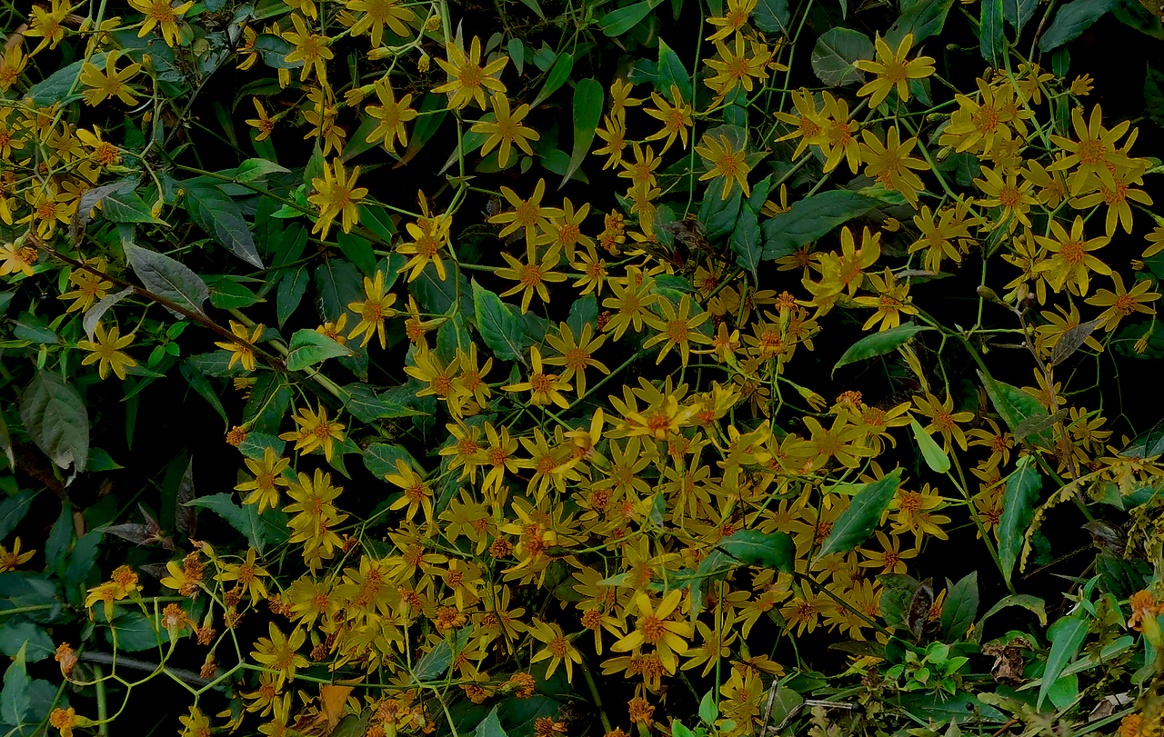 春天来了,夏天就不远了