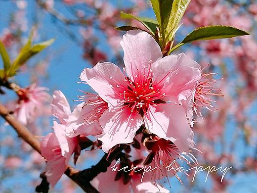 春天攝影（個人主頁-ZNTE4MzU1NDA=） - 風(fēng)光攝影 - 站酷設(shè)計師喵喵魚小姐原創(chuàng)素材 - 站酷ZCOOL